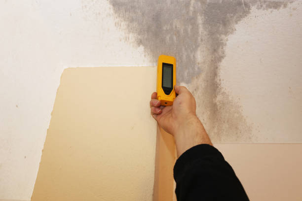 Best Residential Mold Inspection & Testing  in Wildwood, FL