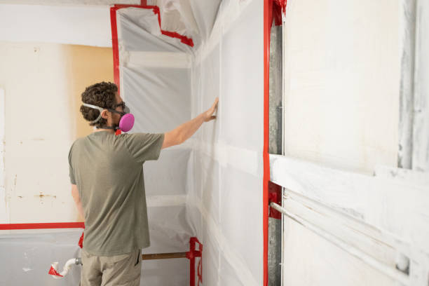  Wildwood, FL Mold Removal Pros