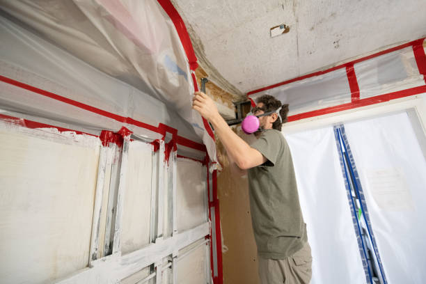 Best Water Damage & Mold Remediation  in Wildwood, FL