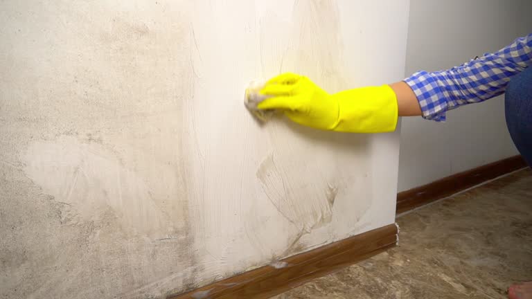 Best Mold Prevention Services  in Wildwood, FL